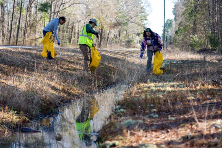 Santee Cooper volunteers collect trash along a wooded area. 