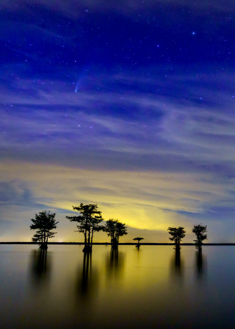 Cypress trees silhouetted against a colorful sunset over Lake Marion. 