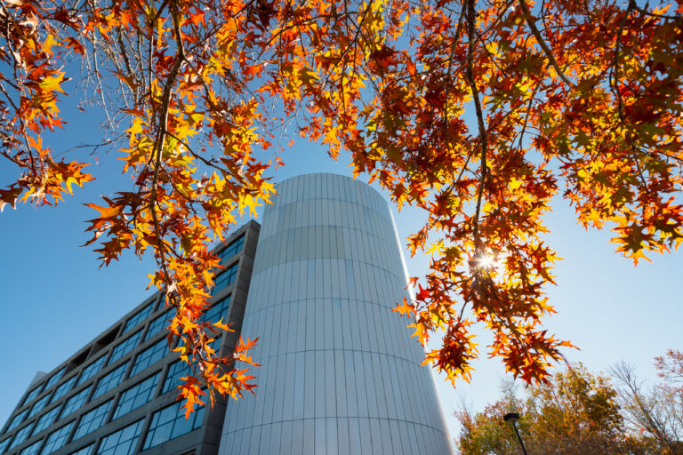 Santee Cooper headquarters framed by vibrant fall foliage. 
