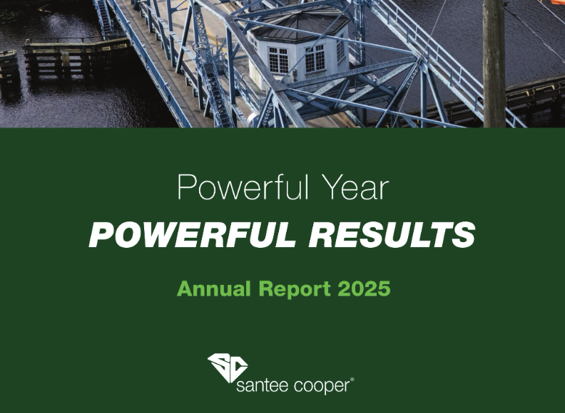 2025 annual report