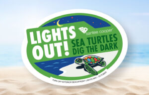 turtle sticker image