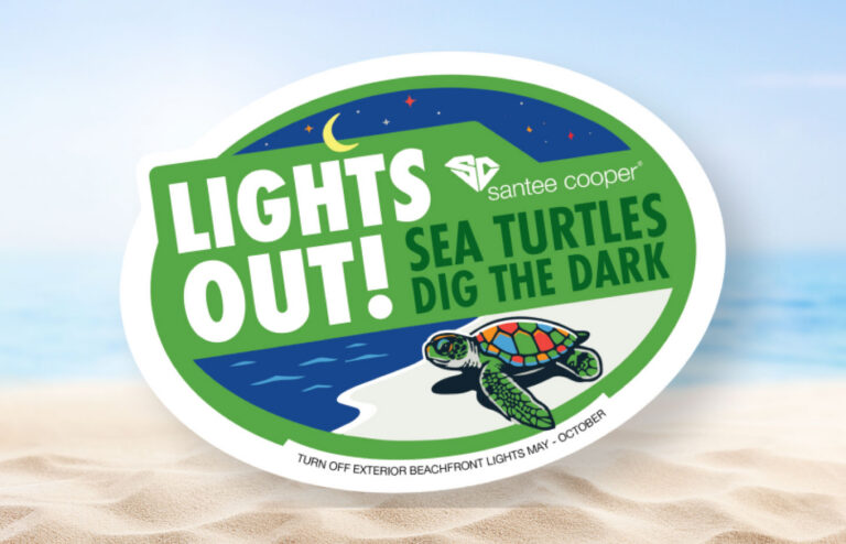 turtle sticker image