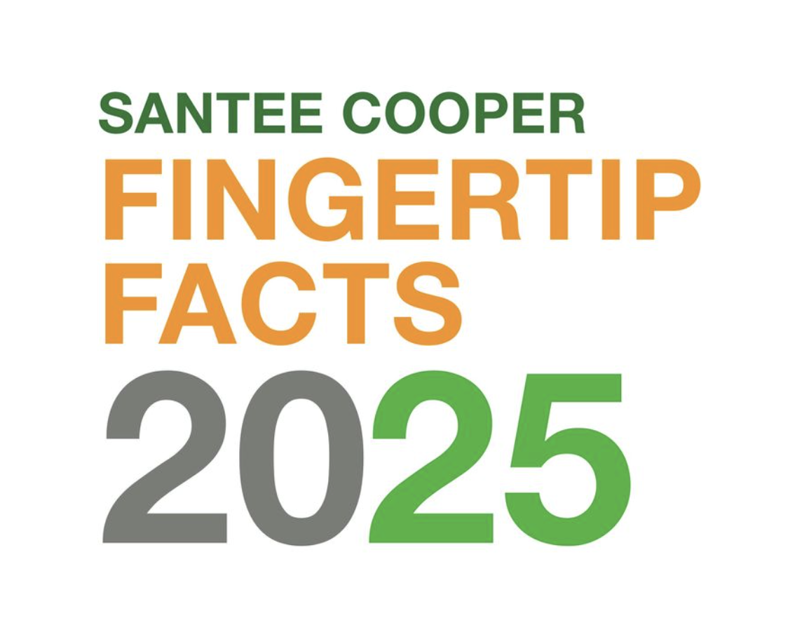 2025 Fingertip Facts